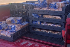 127199469_1312061229132150_6942941636825429349_o